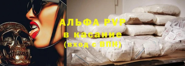 PSILOCYBIN Балахна