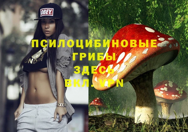 PSILOCYBIN Балахна