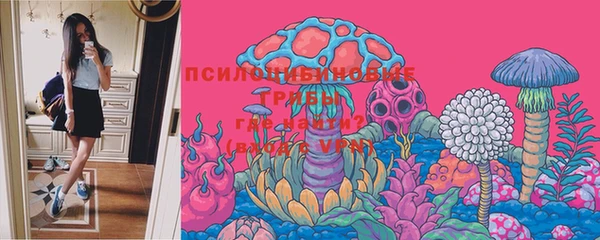 PSILOCYBIN Балахна