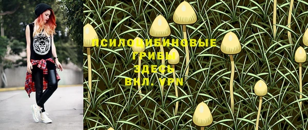 дмт Балабаново