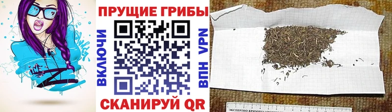 Псилоцибиновые грибы Cubensis  наркошоп  Бежецк 
