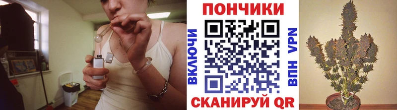 где продают наркотики  Бежецк  Канабис Amnesia 